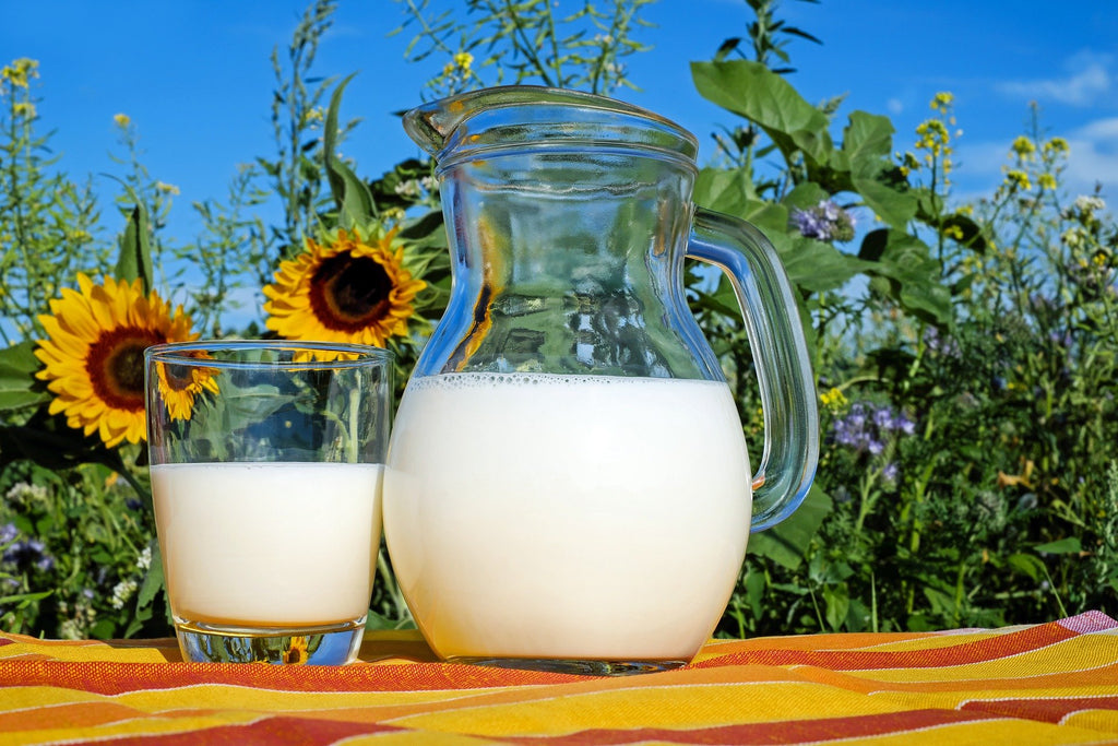 Milk - Firaana