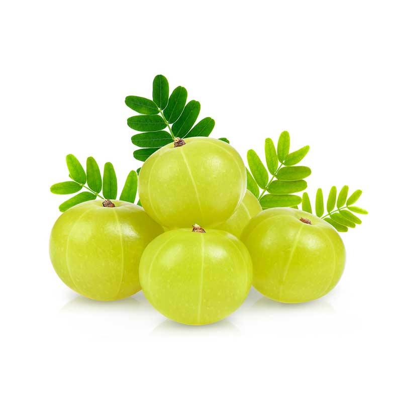 Amla / Indian Gooseberies - Firaana