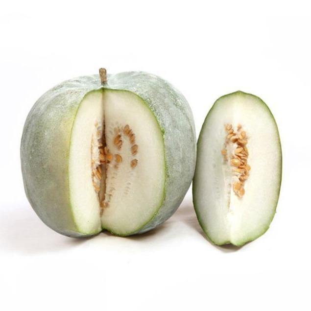 Ash Gourd / Wintermelon - Firaana