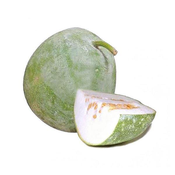 Ash Gourd / Wintermelon - Firaana