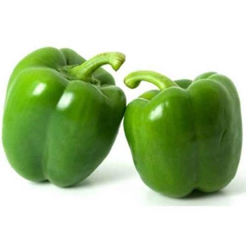 Capsicum - Green - Firaana