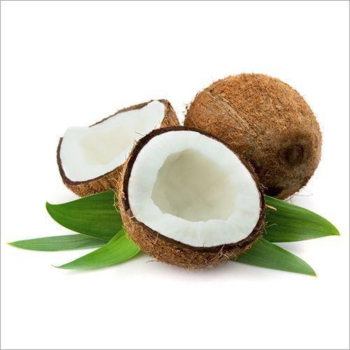 Coconut - Firaana