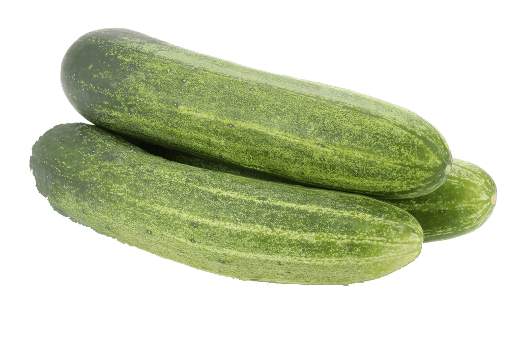 Cucumber / Kakdi / Khira - Firaana
