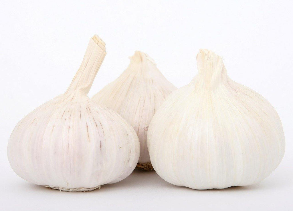 Garlic / Lasoon / Lehsoon - Firaana