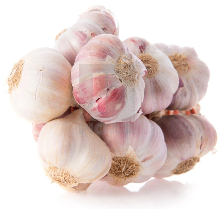 Garlic / Lasoon / Lehsoon - Firaana
