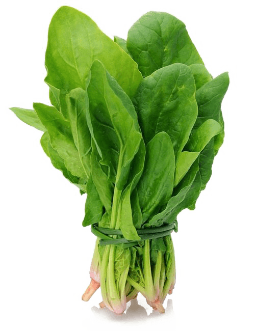 Spinach / Palak / Saag - Firaana